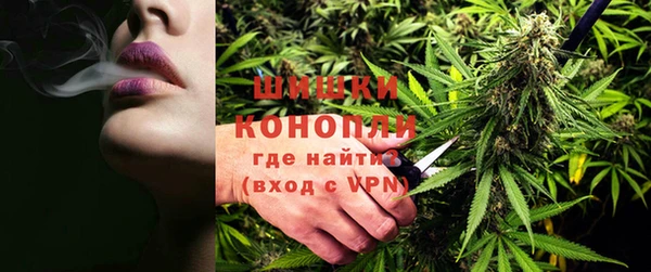 дживик Арсеньев