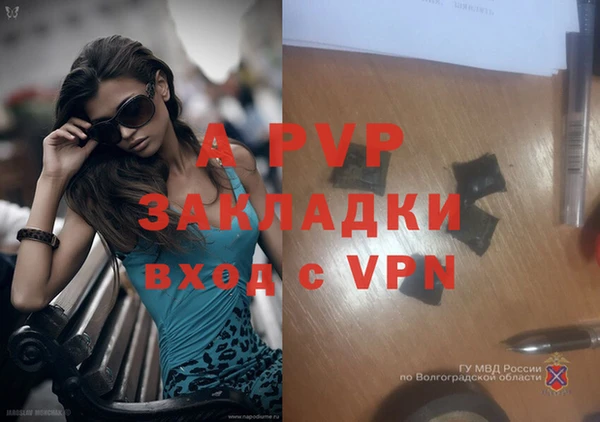 молекула духа Армянск