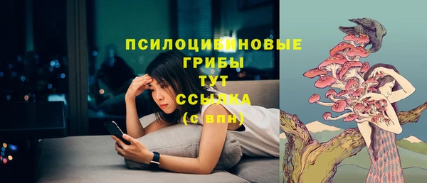 сатива Балабаново