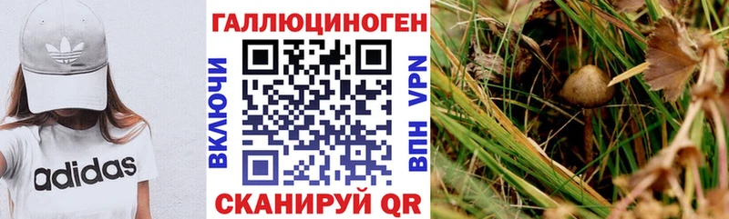 Галлюциногенные грибы прущие грибы блэк спрут зеркало Армянск